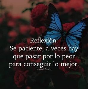 Meet your Posher, Luis enrique